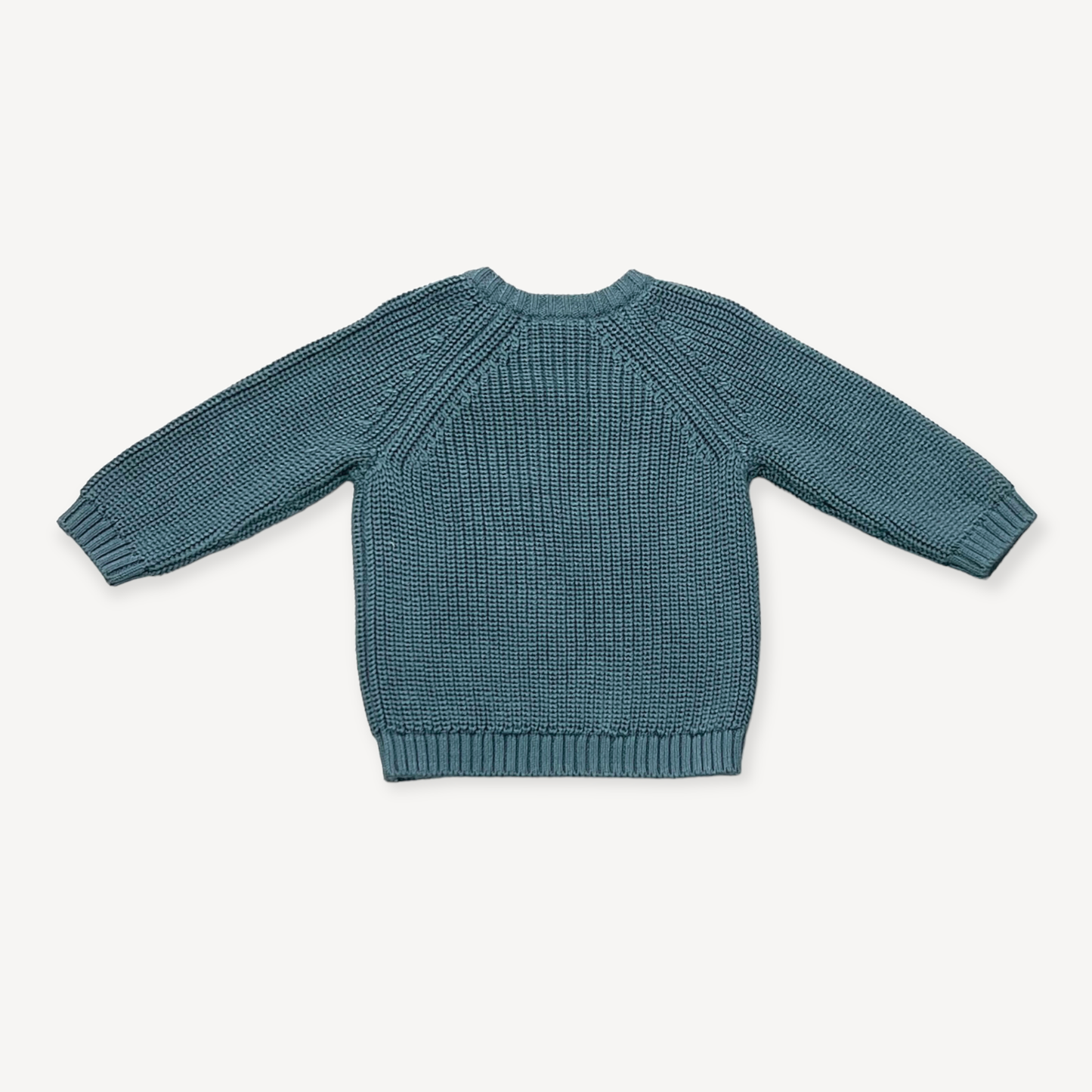 Viverano Organics - Lion Applique Baby Pullover Sweater Knit (Organic Cotton): Teal Blue / 3-6
