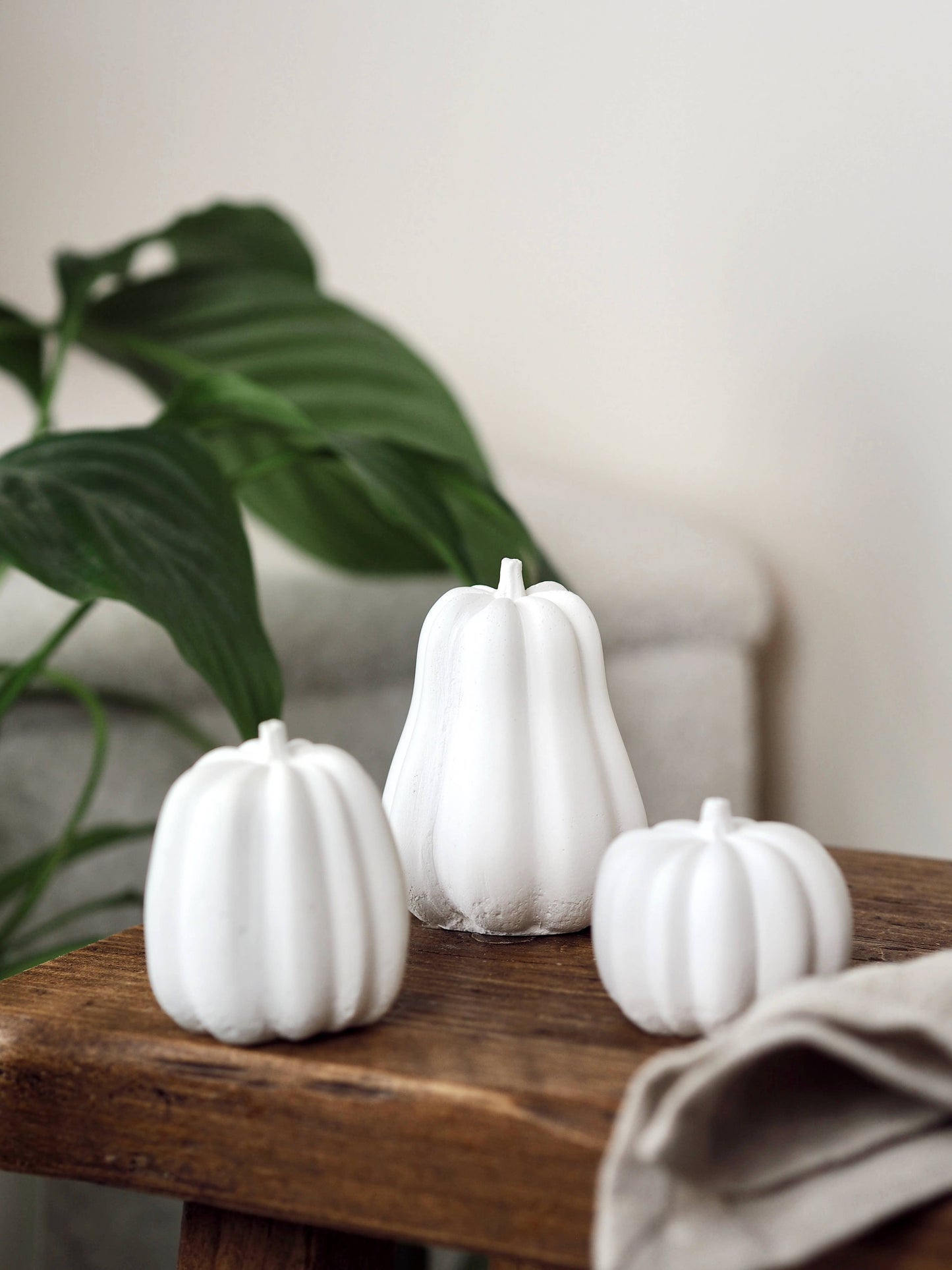 Feathered Oak - Concrete squash/pumpkin Decoration: Large