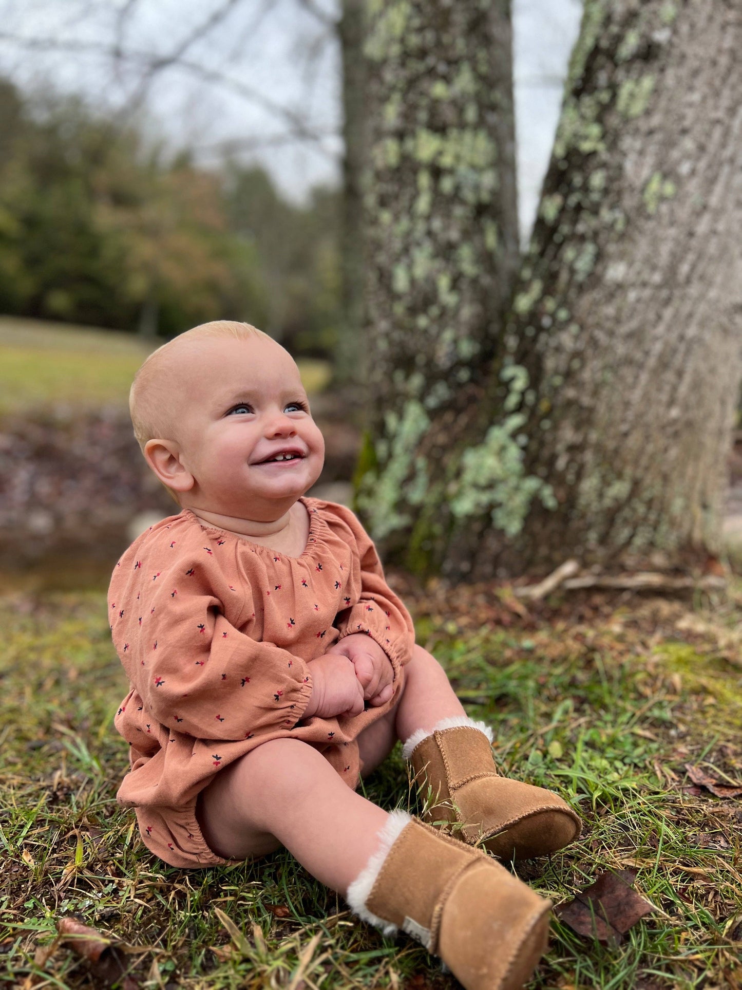 Vignette - Daisy bubble in pumpkin and berry floral: 9-12m