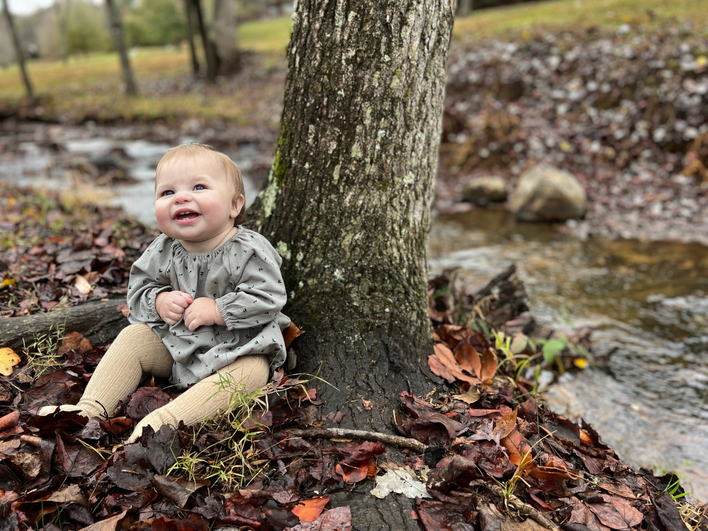Vignette - Daisy bubble in grey and blue floral: 9-12m