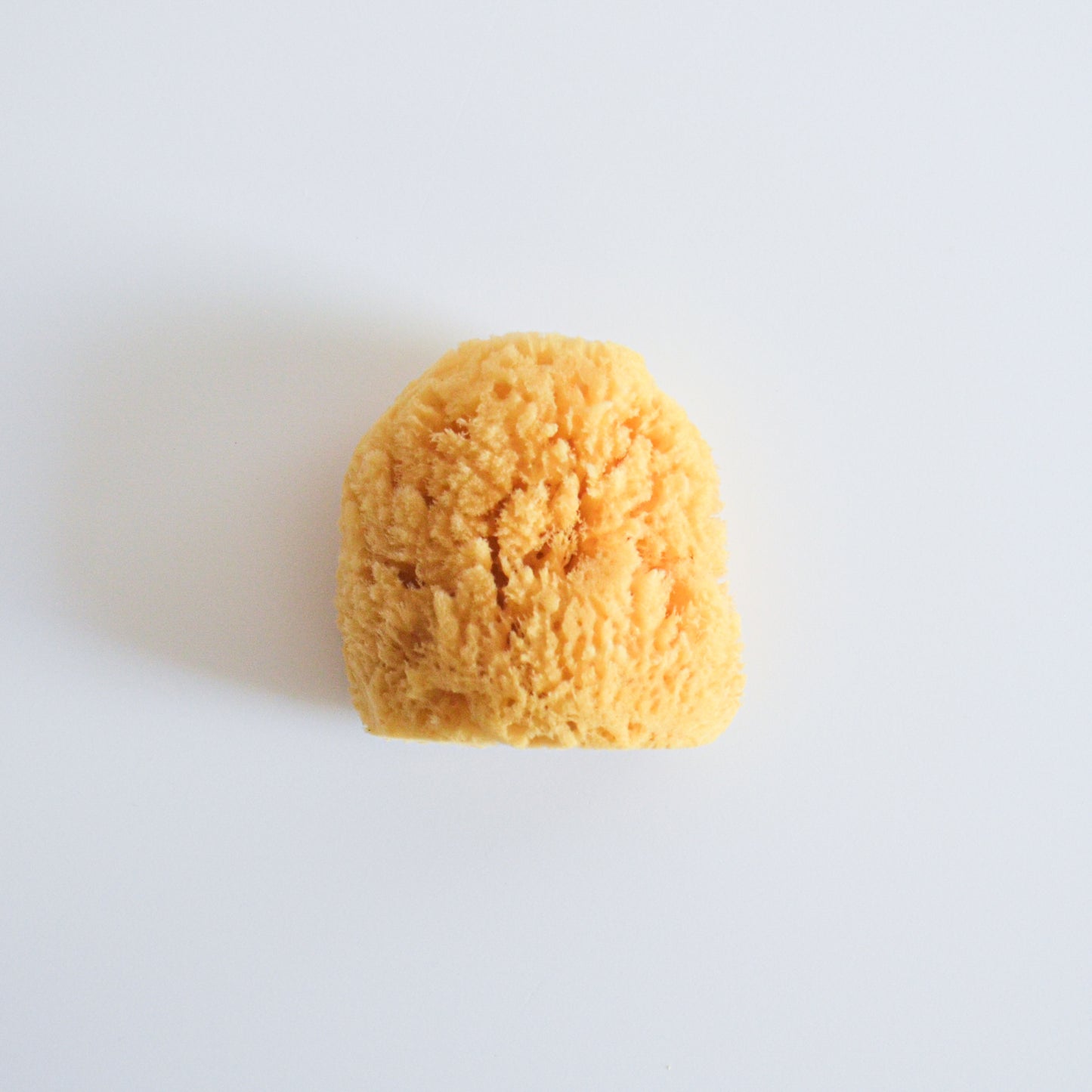 All-Natural Sea Sponge