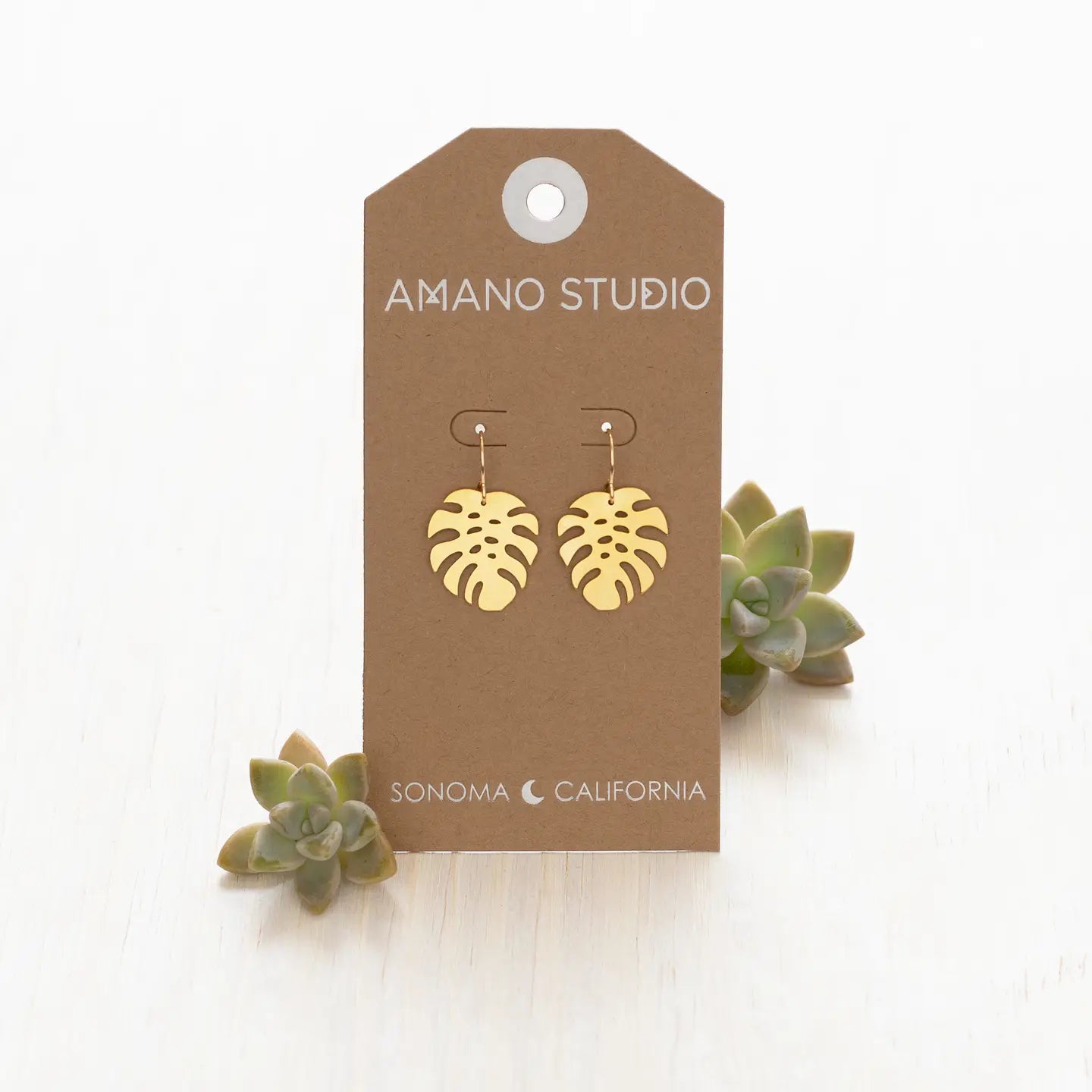 monstera drop Amano Studio