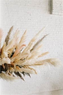 Pampas Grass Natural Tan