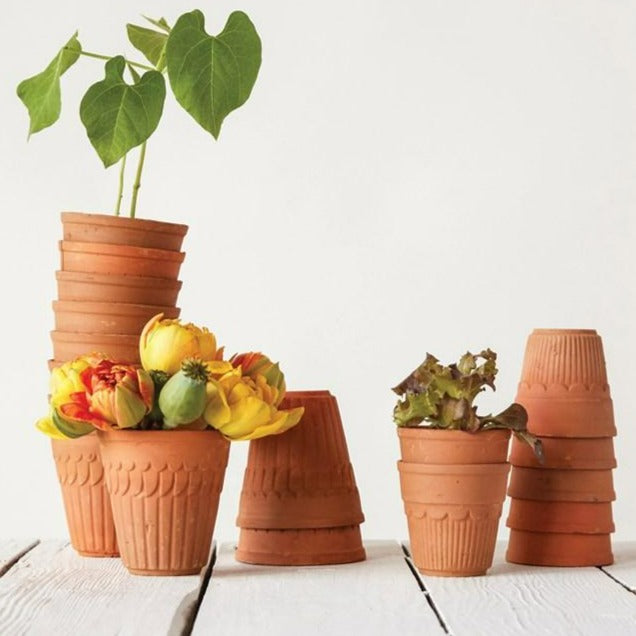 Scalloped Terra-Cotta Pot