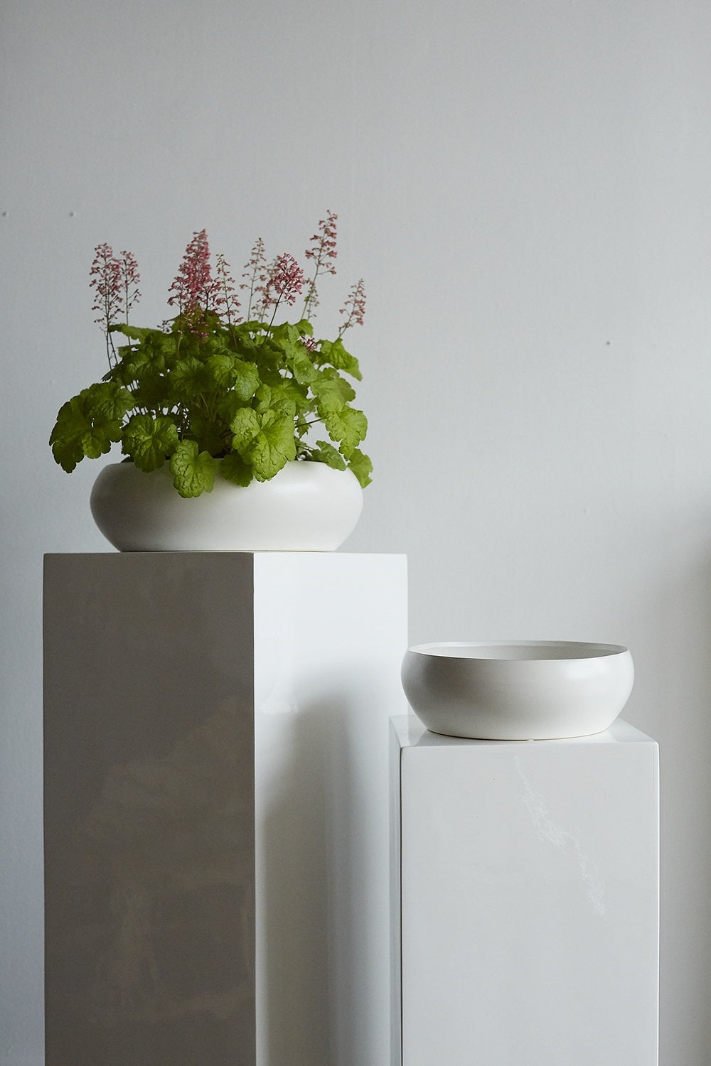 Simply Bowl Collection