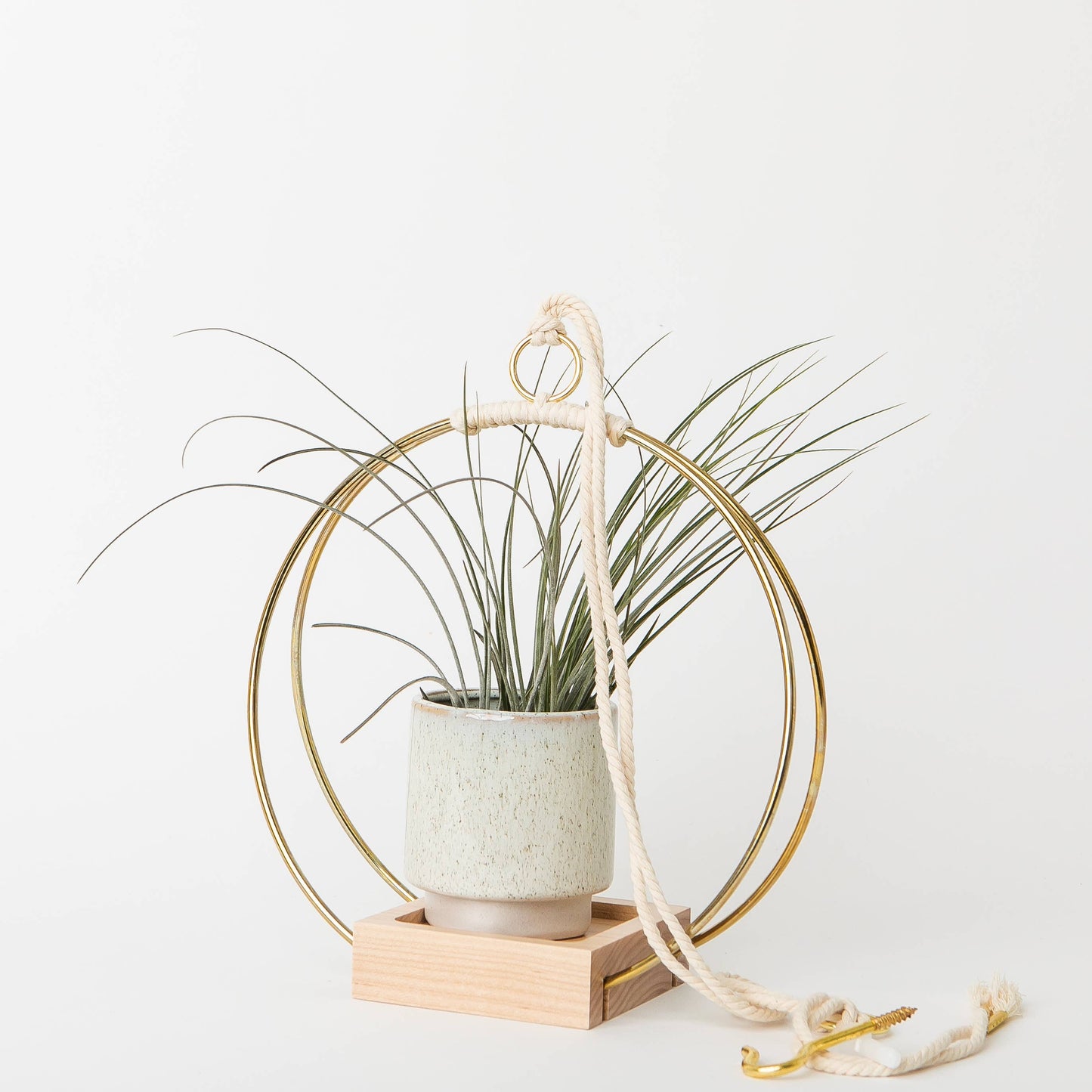 Braid & Wood Design Studio - Plant Hanger (Classic Shimmer) - Gold Hanging Planter: Medium