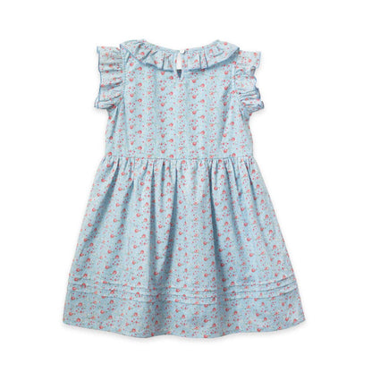 Beet World - Ana Dress - Summer Posy: 2-3 Y