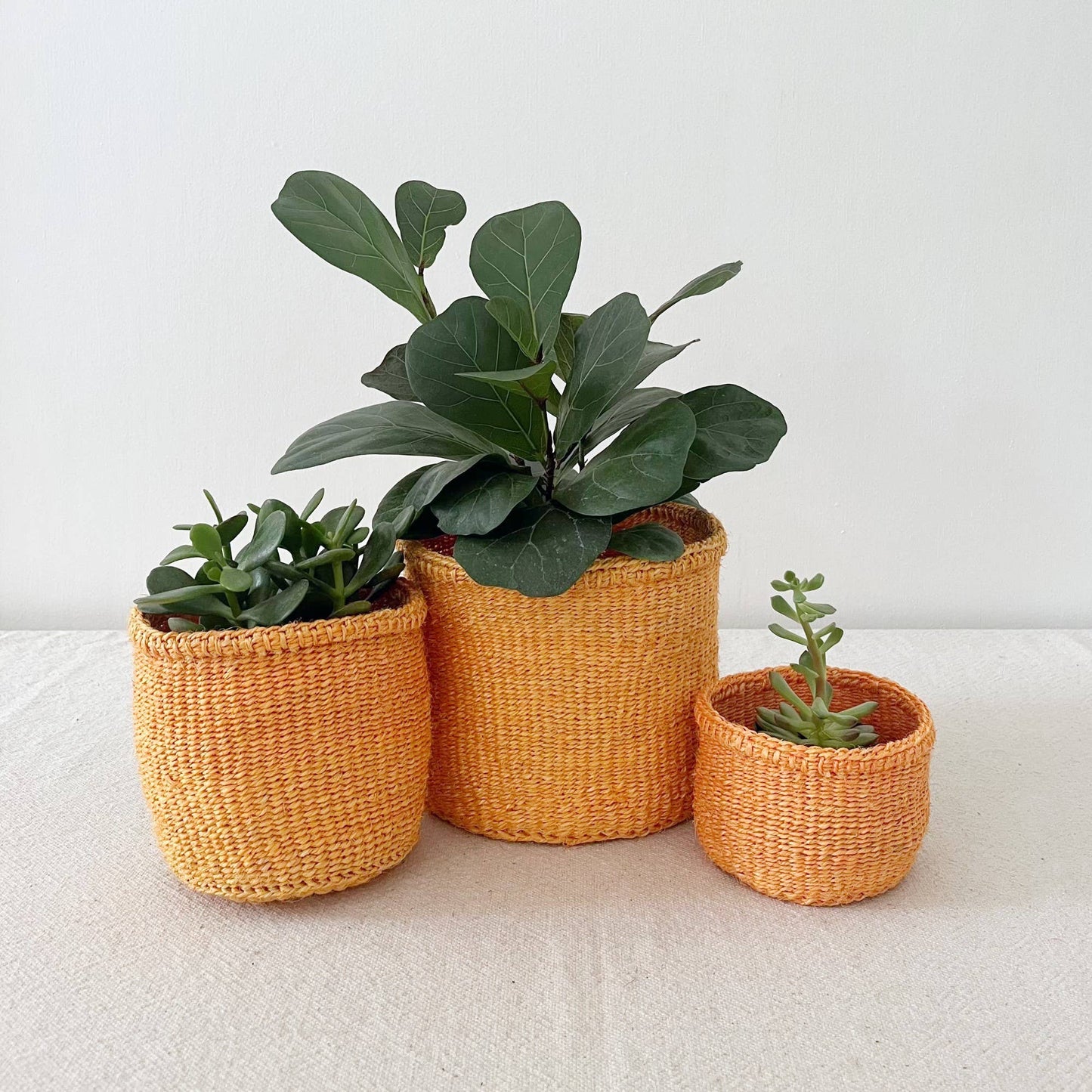 Amsha - Storage Plant Basket: Tangerine: XXS (4"x3)