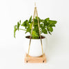 Braid & Wood Design Studio - Plant Hanger (Classic Shimmer) - Gold Hanging Planter: Medium
