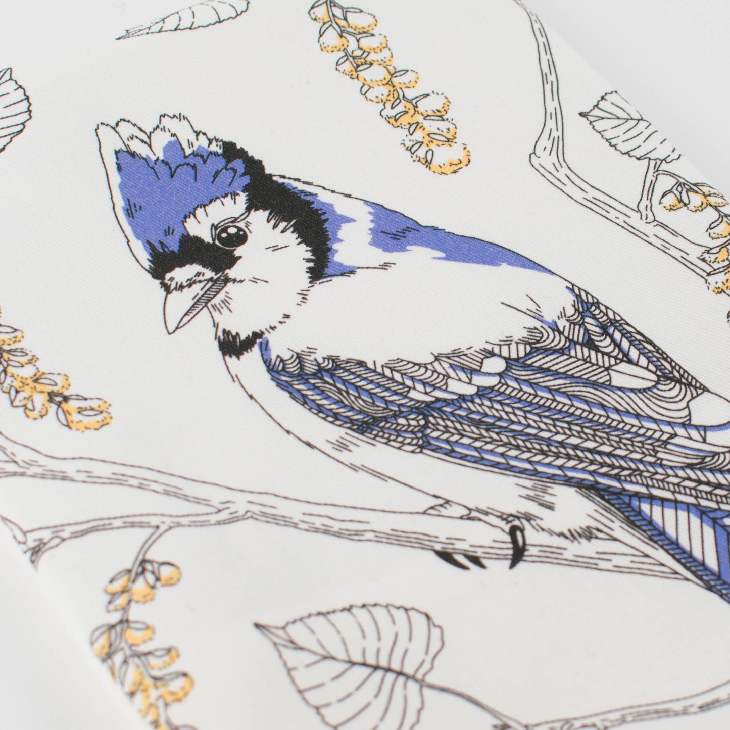 Porchlight Press Letterpress - Blue Jay Tea Towel - West Coast Birds