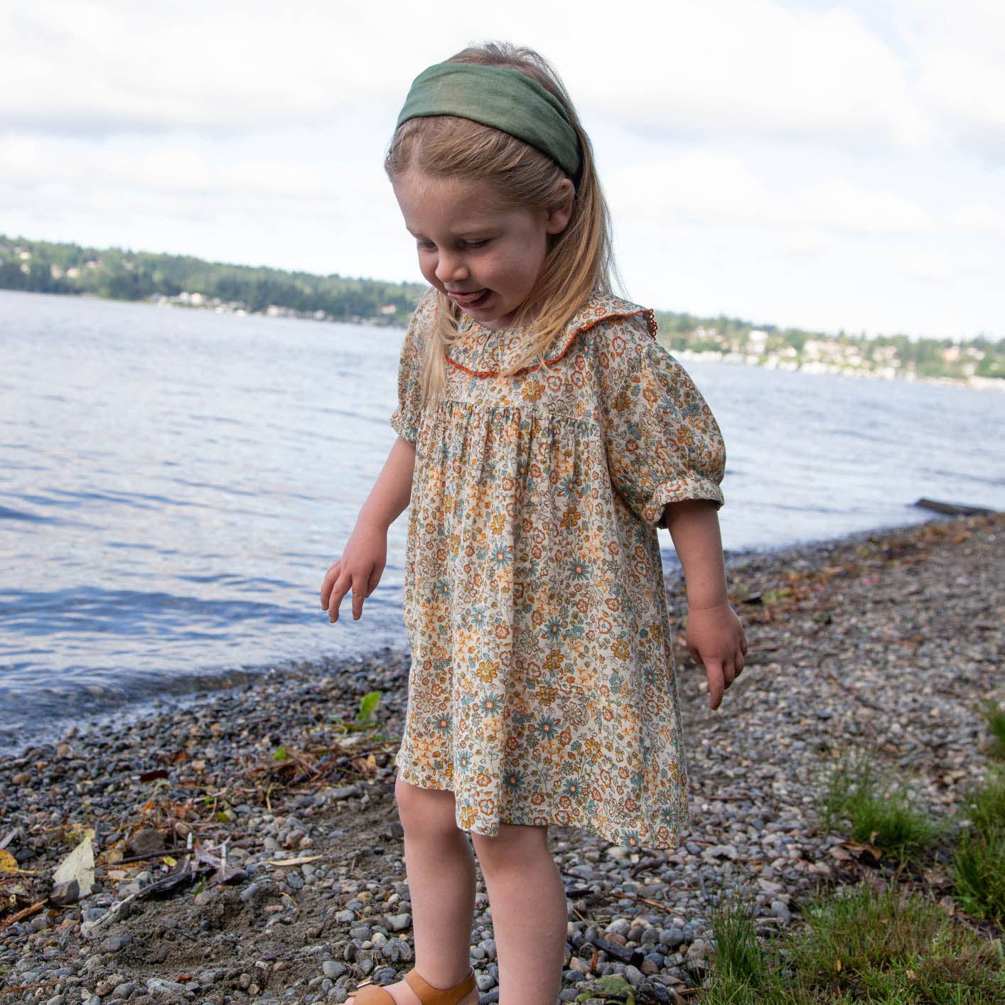 Beet World - Toddler Emily Dress with Ruffle Collar | Cottonfield Floral: 12-18 mo