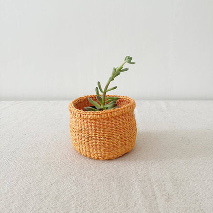 Amsha - Storage Plant Basket: Tangerine: XXS (4"x3)