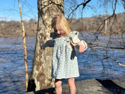 Vignette - Opal Dress in Frost Blue Embroidery: 12-18m