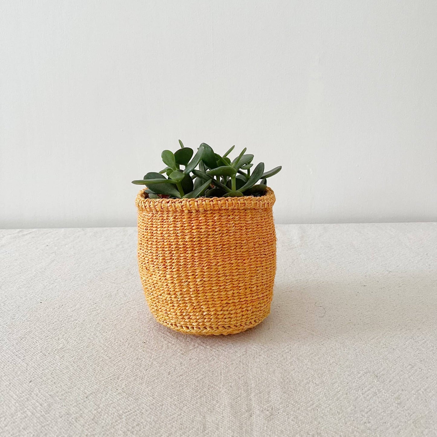 Amsha - Storage Plant Basket: Tangerine: XXS (4"x3)