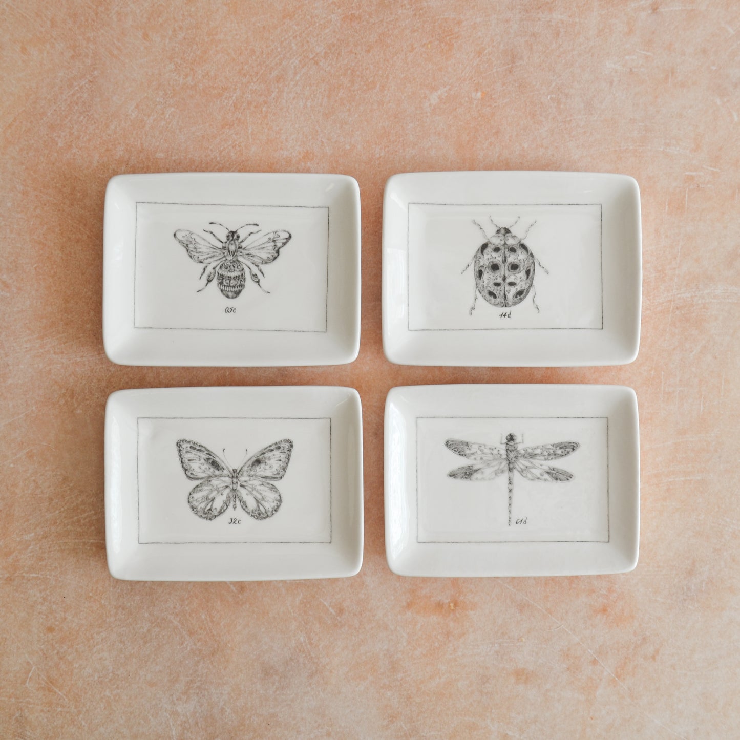 Ceramic Dish with Insect