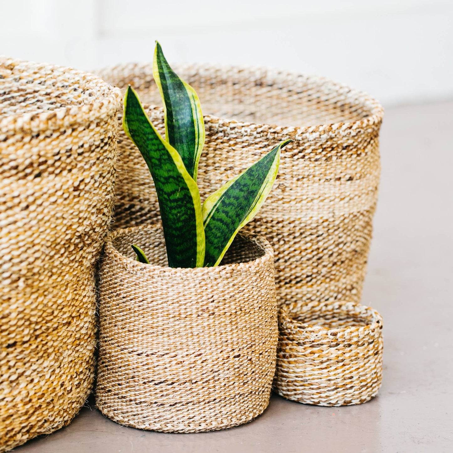 Amsha - Storage Plant Basket: Banana Leaf: XXS