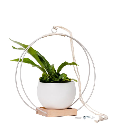 Braid & Wood Design Studio - Plant Hanger (Light & Airy) White Hanging Planter: Small