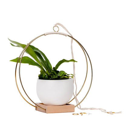 Braid & Wood Design Studio - Plant Hanger (Classic Shimmer) - Gold Hanging Planter: Small