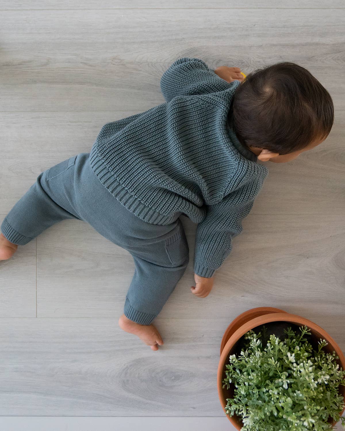 Viverano Organics - Lion Applique Baby Pullover Sweater Knit (Organic Cotton): Teal Blue / 3-6