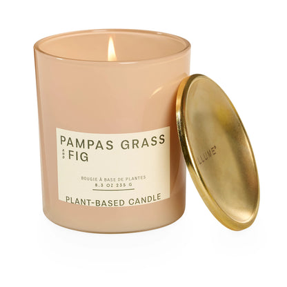 Fig & Pampas Grass Verde Lidded Jar Candle