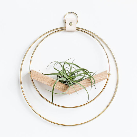 Braid & Wood Design Studio - V-Hanger (Classic Shimmer) - Gold Air Plant Holder: Small