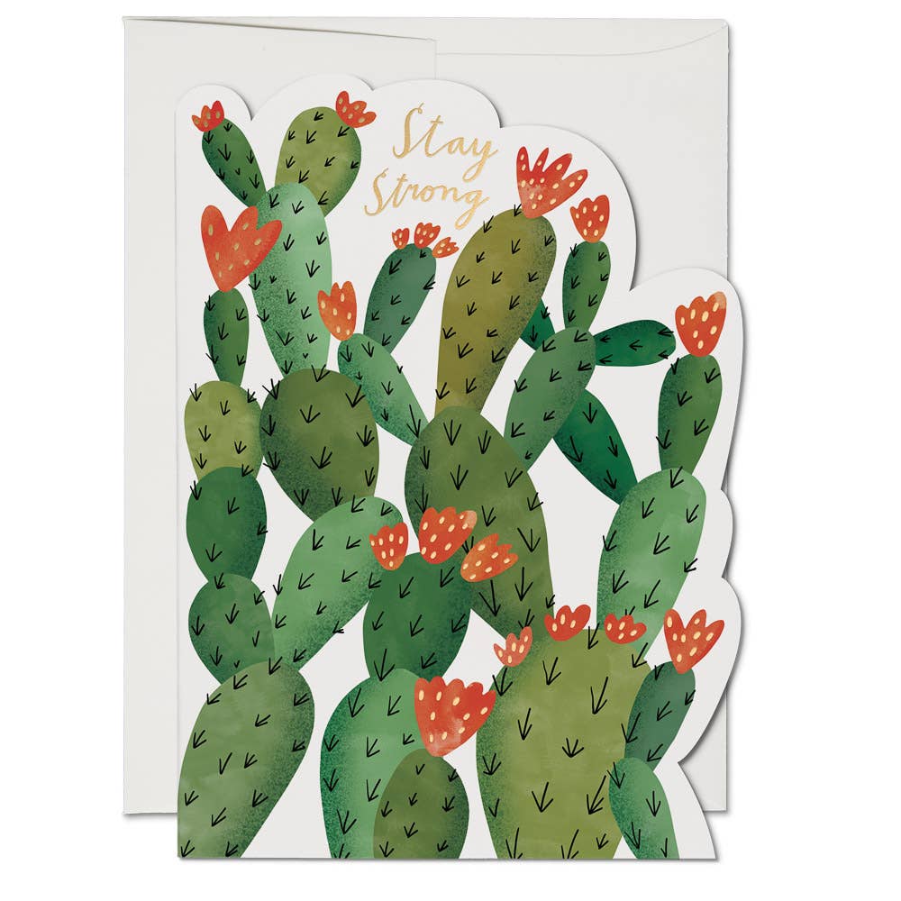 Red Cap Cards - Stay Strong Cactus