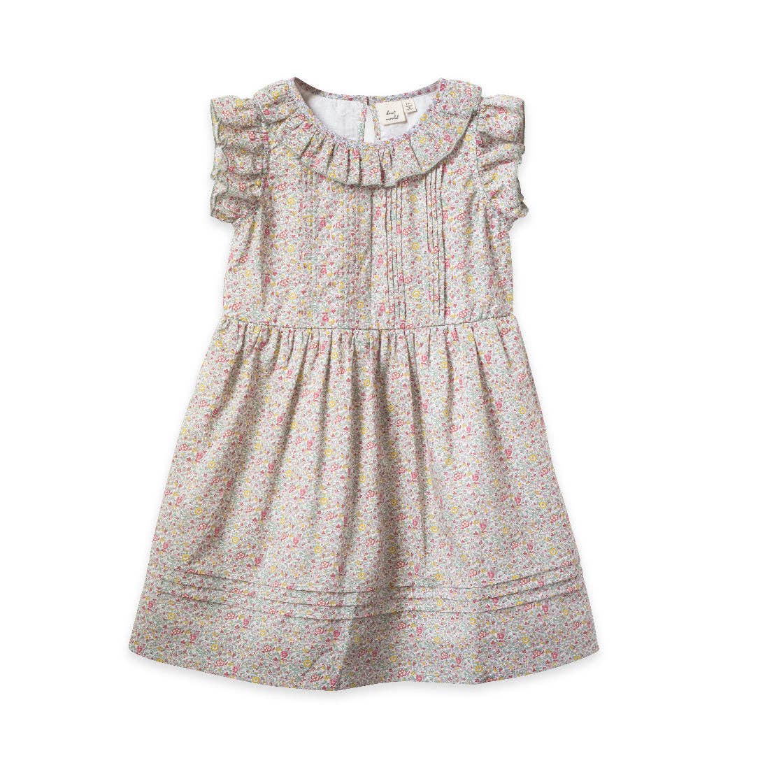 Beet World - Ana Dress - Meadow Floral: 18-24 mo