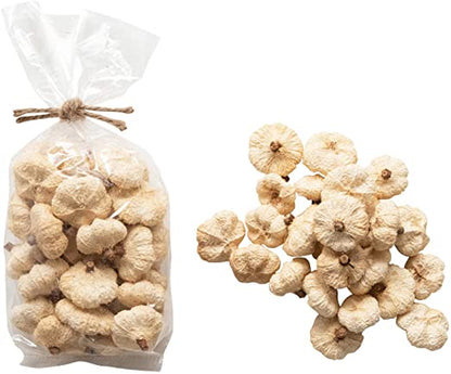 Dried Natural Peepal Pods in a Bag