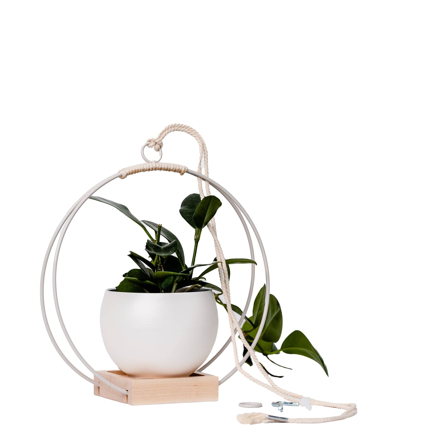 Braid & Wood Design Studio - Plant Hanger (Light & Airy) - White Hanging Planter: Medium