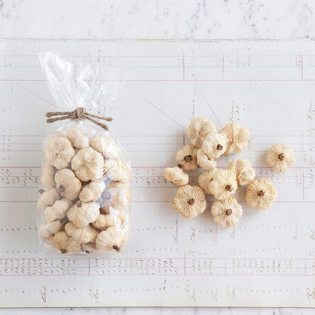 Dried Natural Peepal Pods in a Bag