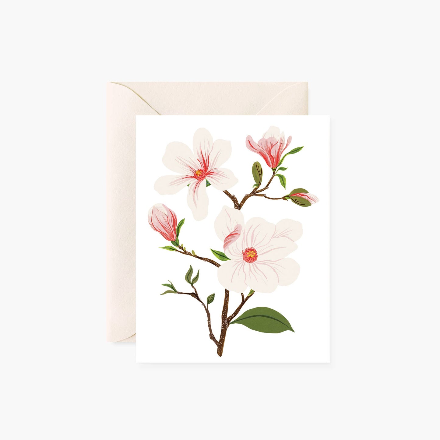 Botanica Paper Co. - MAGNOLIA | greeting card