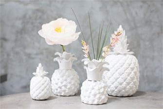 Ceramic White Pina