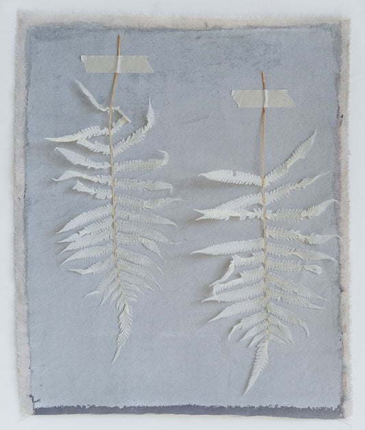 Pack of 16"H Dried Natural Fern Leaf, Cream (Contains 5 Pieces)