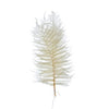 Pack of 16"H Dried Natural Fern Leaf, Cream (Contains 5 Pieces)