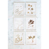 Wood Framed Glass Wall Décor with Dried Botanicals, 6 Styles