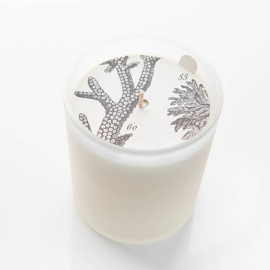 Formulary 55 - Aloe Leaf & Mint Glass Candle
