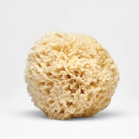 Nectar Republic - Large Bath Sea Sponge